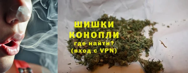 хмурый Инсар