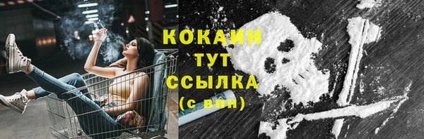 спайс Инта