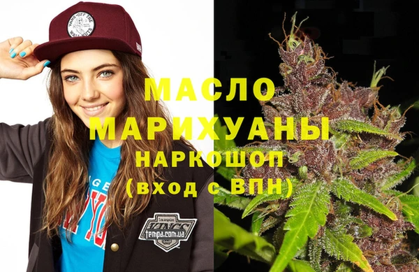 гашик Каменка