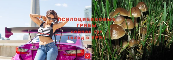 ПСИЛОЦИБИНОВЫЕ ГРИБЫ Иннополис