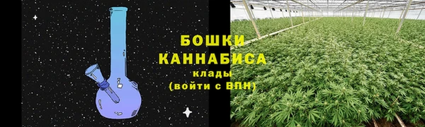 трава Каменногорск