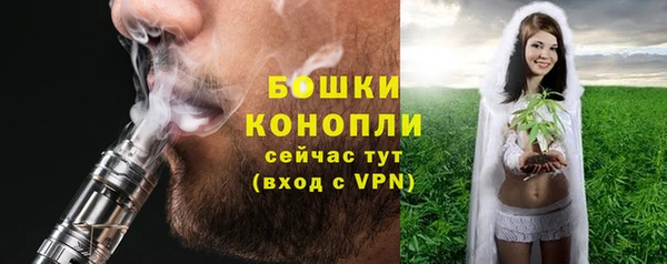 гашик Каменка