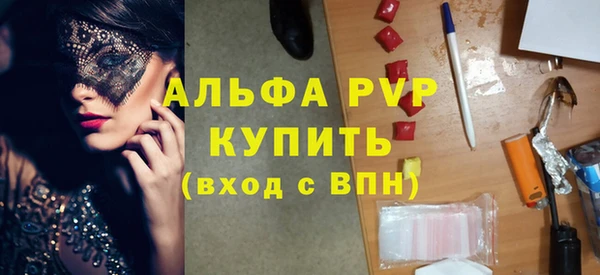 гашик Каменка