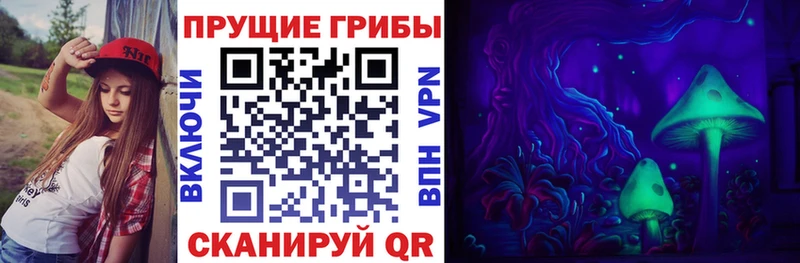 Галлюциногенные грибы прущие грибы  Купить закладки  Мглин 